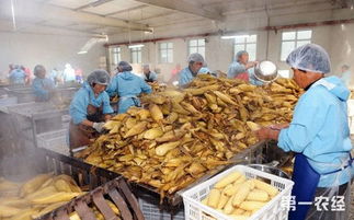 山西大同 農產品加工業銷售破43億元，產業結構優化升級